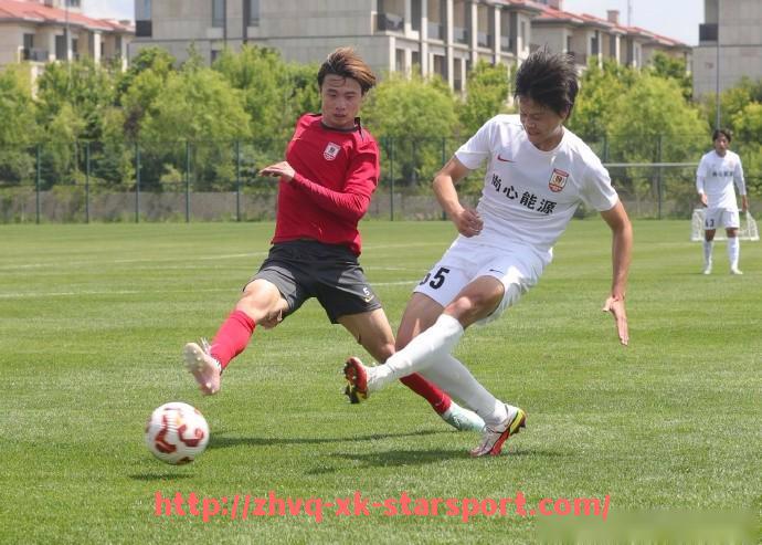 星空体育-英超球员跑动数据查询方法及案例分析