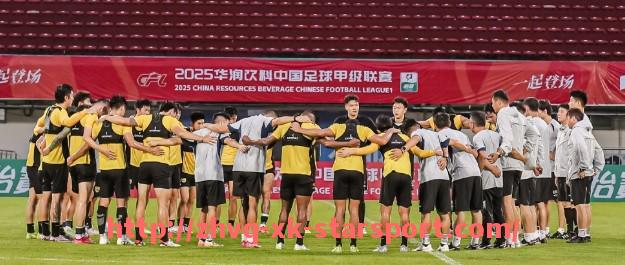 星空体育-西甲塞尔塔比赛直播时间与平台入口全解析