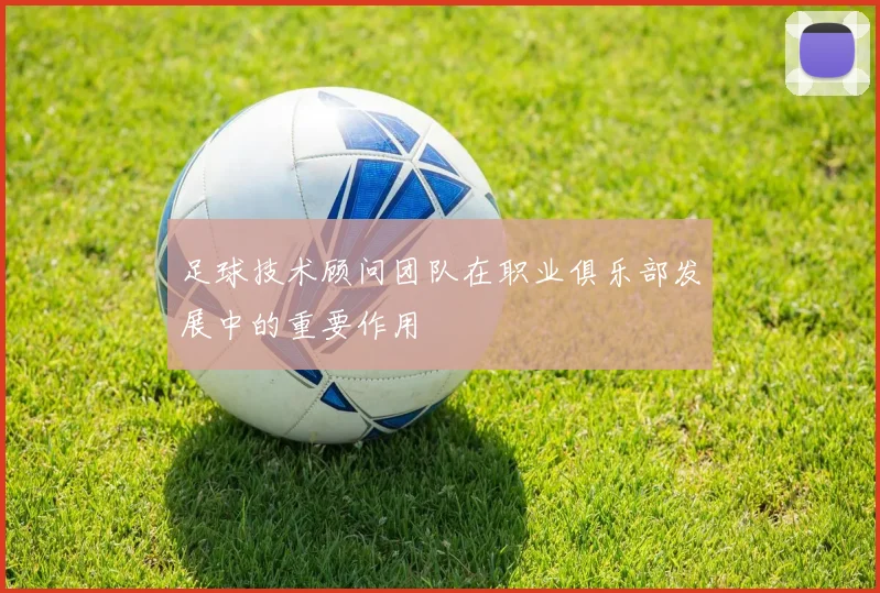 足球技术顾问团队在职业俱乐部发展中的重要作用