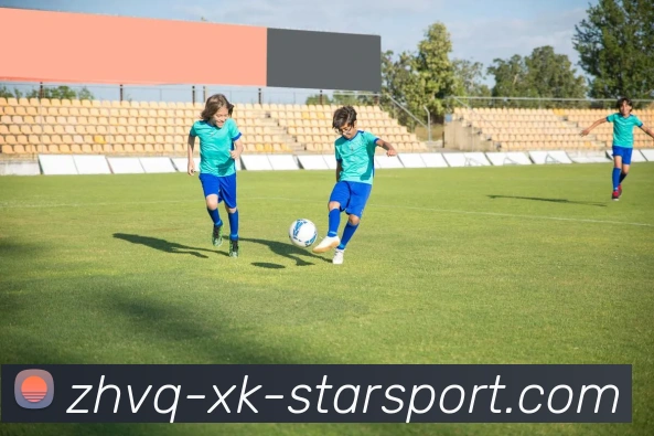 星空体育APP 封面图