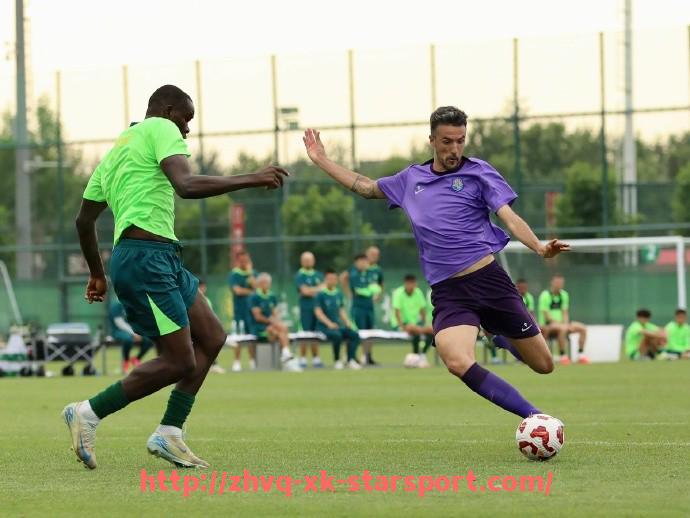 星空体育-火箭队球衣17号球员资料详解及技术特点分析